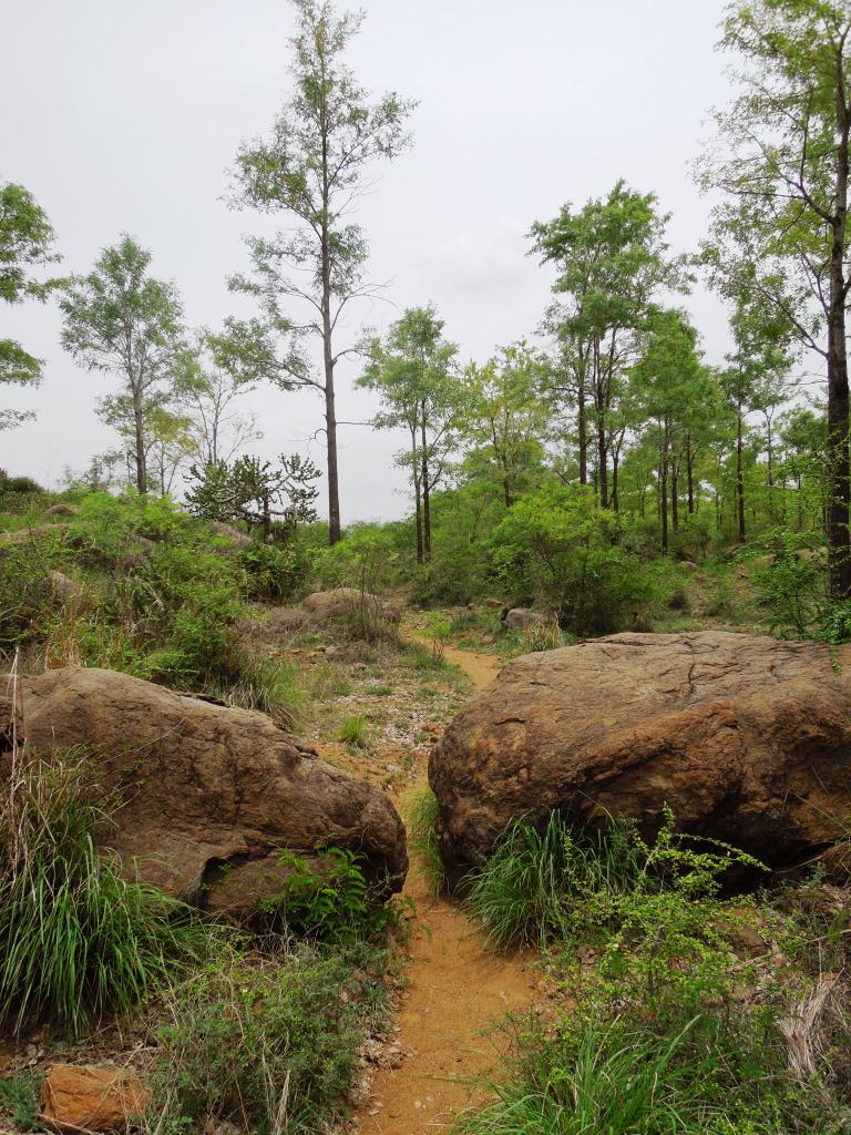 009-rocks-paving-the-way.jpg