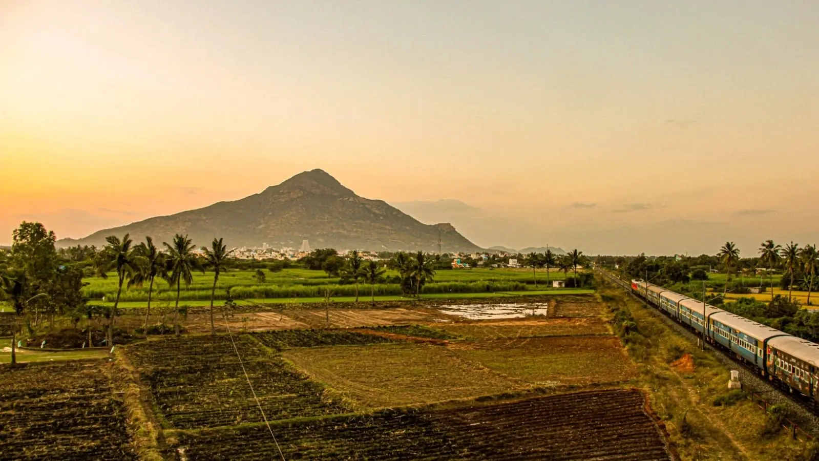 coming-to-arunachala...