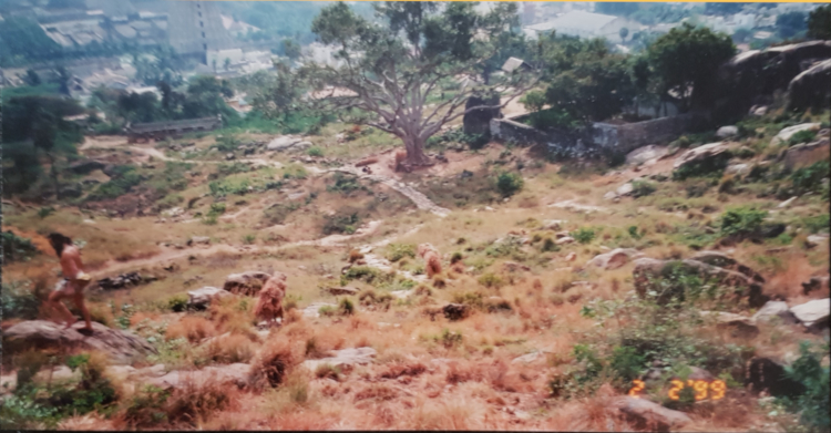 L-R: Arthur, Dennis, Peter