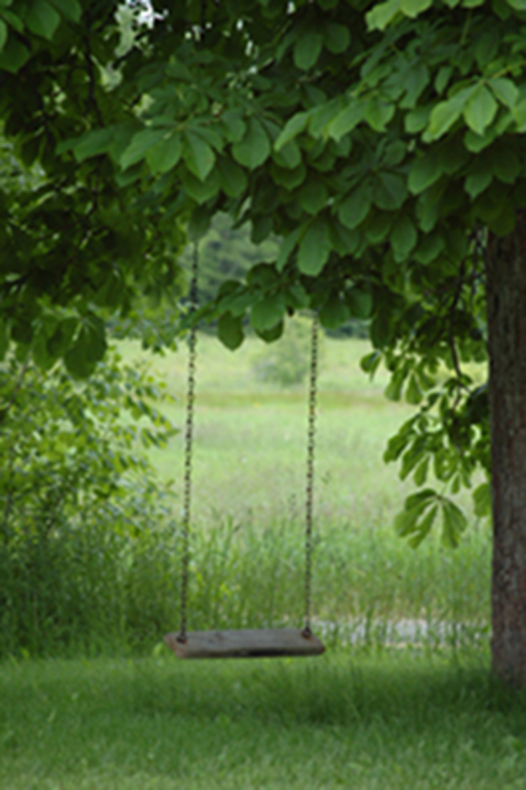 swing-on-chestnut-tree