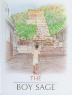 cover image of 'The Boy Sage'