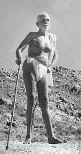 With the help of a cane, Sri Ramana Maharshi takes a walk at the foot of the sacred mountain. Though slightly lame, Sri Ramana has a vigorous constitution, lives witha yogi's type abstemiousness