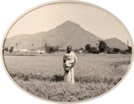 Om Arunachala